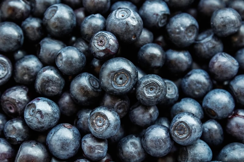 Blueberry Cheesecake Bites